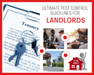 professional pest control company